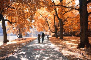 球队连续获胜，实力得到认可与提升——从“连胜”看未来冠军的雏形